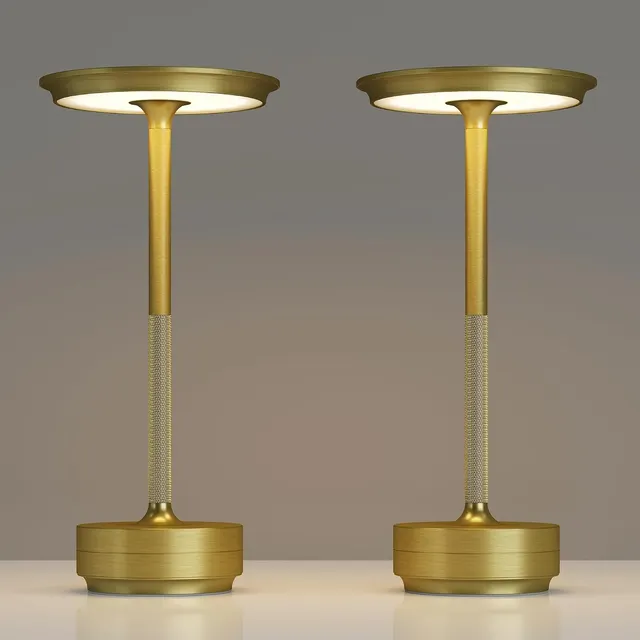 TBBGA Gold Cordless Table Lamps (2-Pack) in gold
